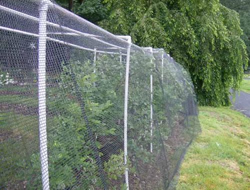 Bird netting application